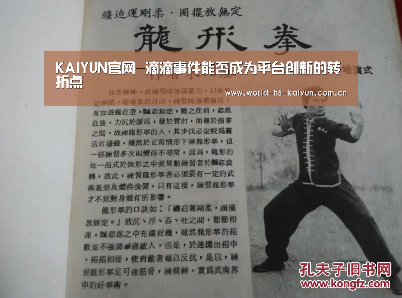 KAIYUN官网-滴滴事件能否成为平台创新的转折点(图3) KAIYUN官网