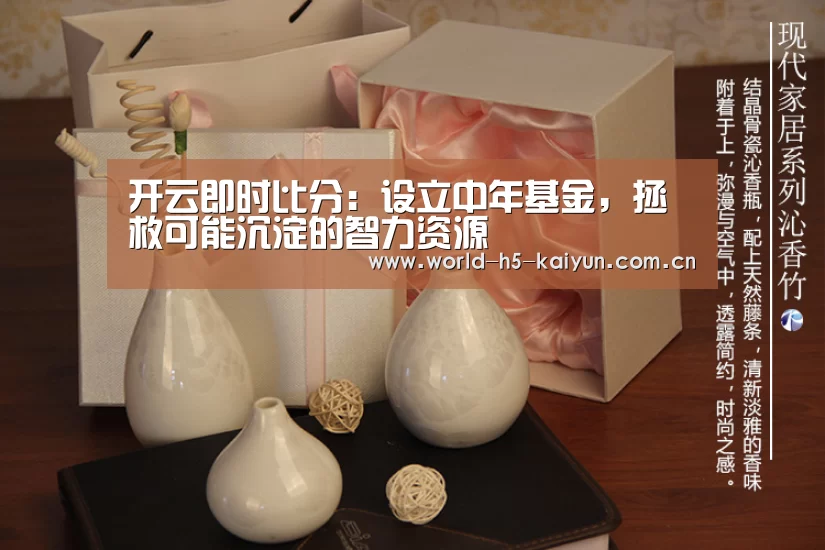 开云即时比分:设立中年基金,拯救可能沉淀的智力资源(图3) 开云即时比分