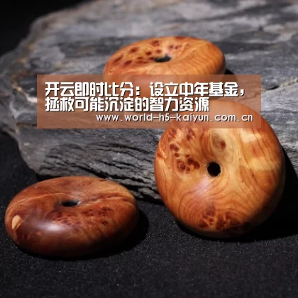 开云即时比分:设立中年基金,拯救可能沉淀的智力资源(图1) 开云体育直播