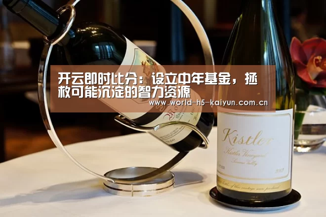开云即时比分:设立中年基金,拯救可能沉淀的智力资源(图4) 开云即时比分